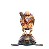 23cm Dragon Ball Z Master Roshi (Kame Sennin) Anime Figure – PVC Collectible Statue - Homebound Essentials