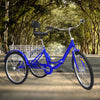 24 Inch 7 - speed Folding Tricycle with Backrest - Homebound Essentials