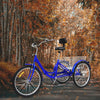 24 Inch 7 - speed Folding Tricycle with Backrest - Homebound Essentials