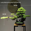 Artificial Bonsai Tree: Immortal Welcoming Pine for Home & Living Decor - Homebound Essentials