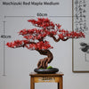 Artificial Bonsai Tree: Immortal Welcoming Pine for Home & Living Decor - Homebound Essentials