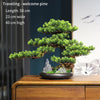 Artificial Bonsai Tree: Immortal Welcoming Pine for Home & Living Decor - Homebound Essentials