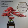 Artificial Bonsai Tree: Immortal Welcoming Pine for Home & Living Decor - Homebound Essentials