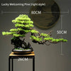 Artificial Bonsai Tree: Immortal Welcoming Pine for Home & Living Decor - Homebound Essentials