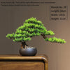 Artificial Bonsai Tree: Immortal Welcoming Pine for Home & Living Decor - Homebound Essentials