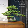 Artificial Bonsai Tree: Immortal Welcoming Pine for Home & Living Decor - Homebound Essentials