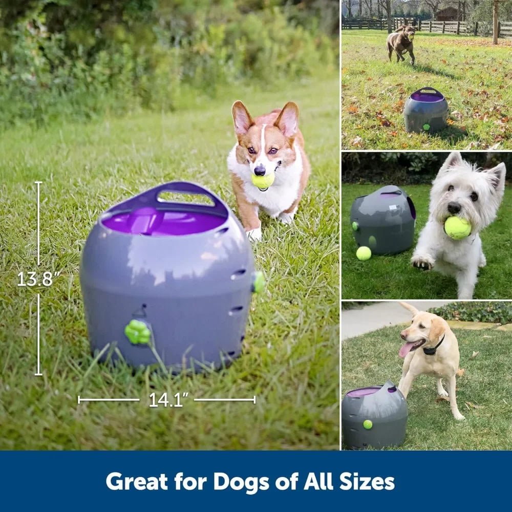 Automatic Ball Launcher Interactive Dog Toy for Enrichment – Tennis Balls Included - Homebound Essentials