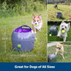 Automatic Ball Launcher Interactive Dog Toy for Enrichment – Tennis Balls Included - Homebound Essentials