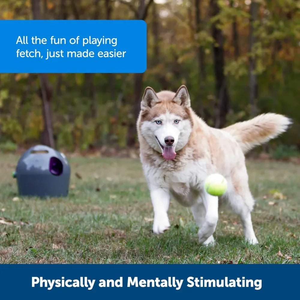 Automatic Ball Launcher Interactive Dog Toy for Enrichment – Tennis Balls Included - Homebound Essentials