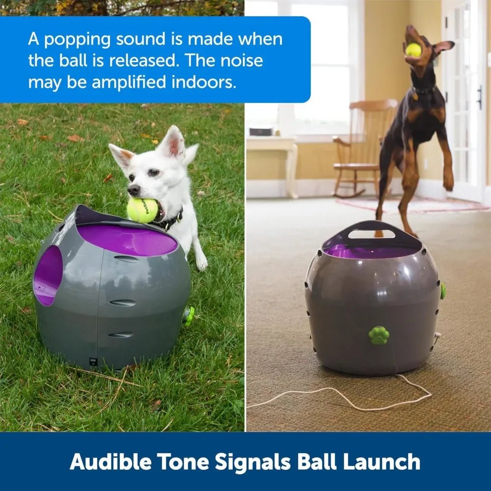Automatic Ball Launcher Interactive Dog Toy for Enrichment – Tennis Balls Included - Homebound Essentials