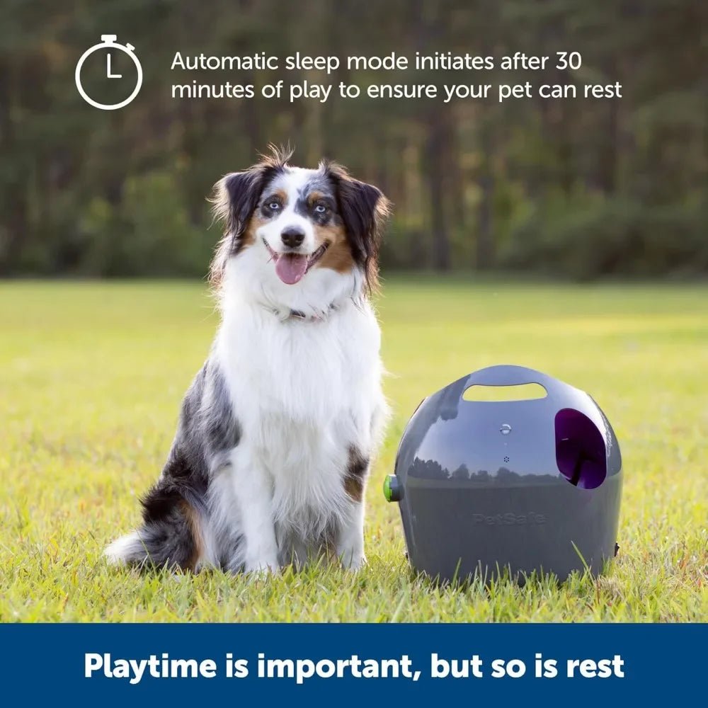 Automatic Ball Launcher Interactive Dog Toy for Enrichment – Tennis Balls Included - Homebound Essentials