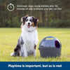 Automatic Ball Launcher Interactive Dog Toy for Enrichment – Tennis Balls Included - Homebound Essentials