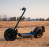 Big Two Wheels Fat Tyre Citycoco 2000W 60V20A Max Disc Brake Electric Scooter - Homebound Essentials