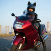Cat Ear Motorcycle Helmet | Detachable Casco Moto Helmet | Full Face Fashion Helmet - Homebound Essentials
