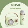 EchoVibe Bluetooth Karaoke Speaker: Bluetooth Karaoke Speaker with 1 - 2 Wireless Microphones | TF Card, FM Radio, HiFi Bass, Hands - Free Calls - Homebound Essentials