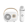 EchoVibe Bluetooth Karaoke Speaker: Bluetooth Karaoke Speaker with 1 - 2 Wireless Microphones | TF Card, FM Radio, HiFi Bass, Hands - Free Calls - Homebound Essentials