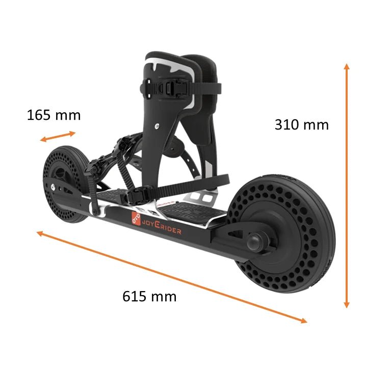 Electric Skateboard Surf Board Skating Shoe: Professional Roller Skates - Homebound Essentials