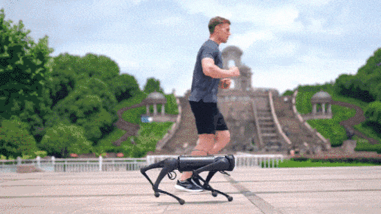 HomeBound Essentials 0 OptiRover - Your Ultimate Robo-Companion