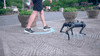 HomeBound Essentials 0 OptiRover - Your Ultimate Robo-Companion