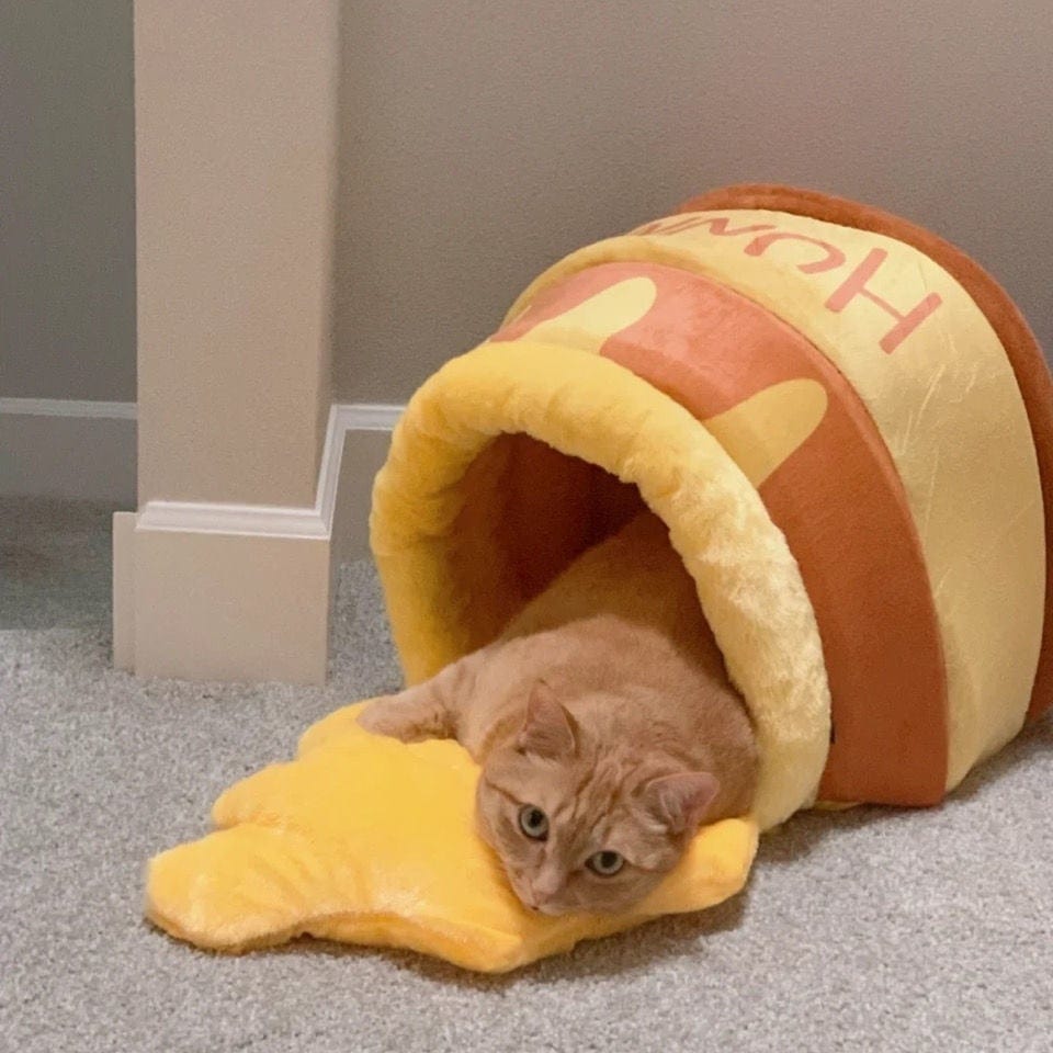 HoneyPod - Plushy Honey Pot Cat Bed - Homebound Essentials