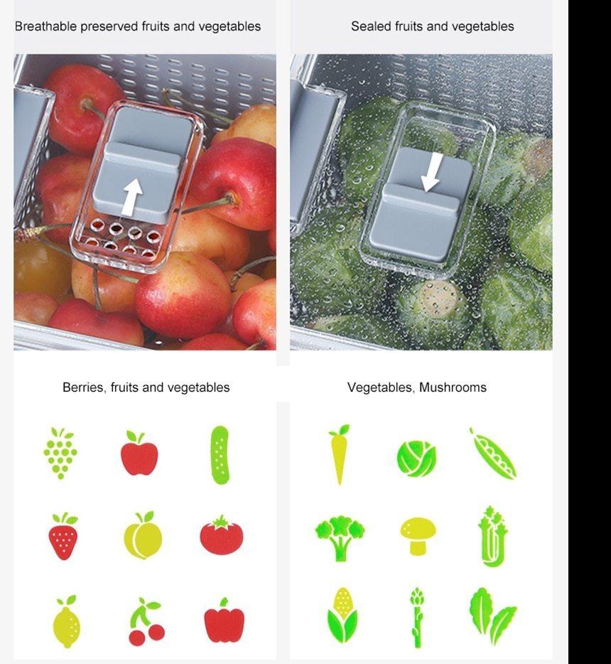 KeepFresh - Multifunctional Produce Fresh Keeping Storage Box - Homebound Essentials