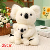 Lovely Australia Koala Plush Toy: Furry, Soft, and Huggable! - Homebound Essentials