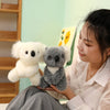 Lovely Australia Koala Plush Toy: Furry, Soft, and Huggable! - Homebound Essentials