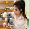 Lovely Australia Koala Plush Toy: Furry, Soft, and Huggable! - Homebound Essentials