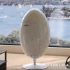 Luxury Eco - friendly Dinosaur Egg Storage Bucket - Homebound Essentials