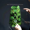 Micro - Landscape Creative Flower Pot Shaped Greenhouse Ornament - Homebound Essentials