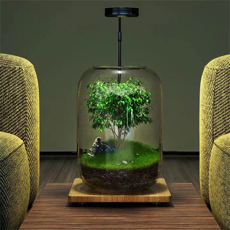 MossyMason: Creative Glass Terrarium Vase for Succulents and Hydroponics - Homebound Essentials