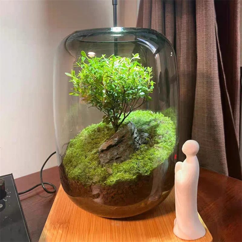 MossyMason: Creative Glass Terrarium Vase for Succulents and Hydroponics - Homebound Essentials