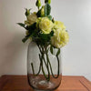 MossyMason: Creative Glass Terrarium Vase for Succulents and Hydroponics - Homebound Essentials