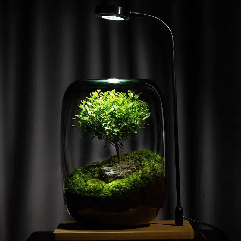 MossyMason: Creative Glass Terrarium Vase for Succulents and Hydroponics - Homebound Essentials