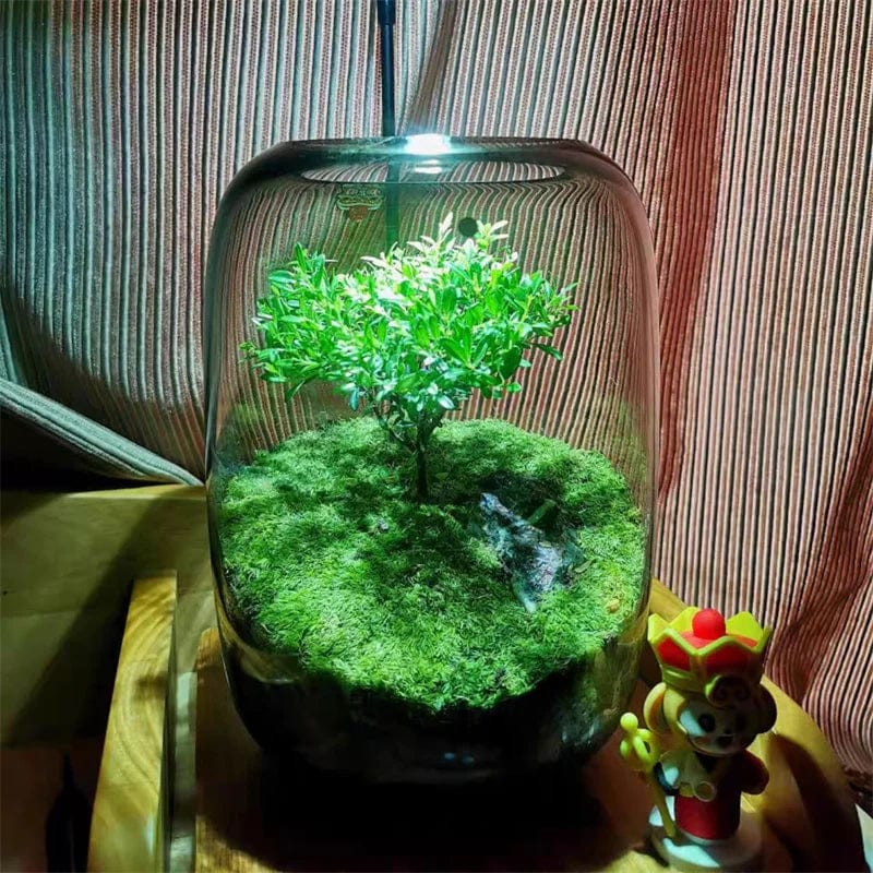 MossyMason: Creative Glass Terrarium Vase for Succulents and Hydroponics - Homebound Essentials