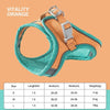 PawProwl - Escape Proof Cat Vest Harness and Leash Set - Homebound Essentials