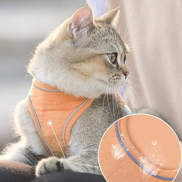 PawProwl - Escape Proof Cat Vest Harness and Leash Set - Homebound Essentials